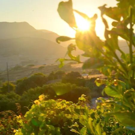 Apartamento Sarantis &