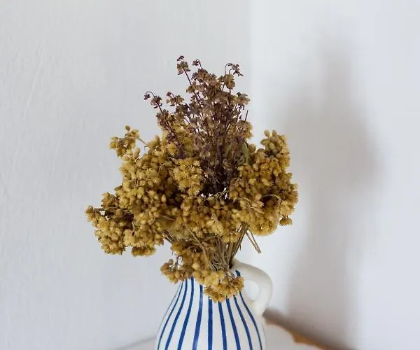 Appartement Sarantis Suites&apartments Provatas