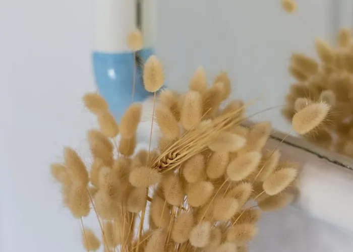 Appartement Sarantis Suites&apartments Provatas