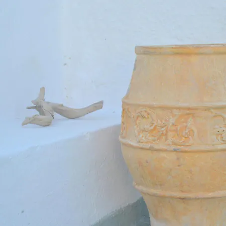 Sarantis & Проватас